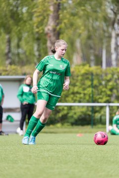 Bild 294 - wBJ SV Wahlstedt - TSV Wentorf-Dandesneben : Ergebnis: 7:1
